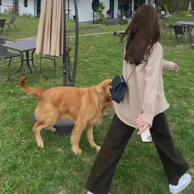 降河洄游